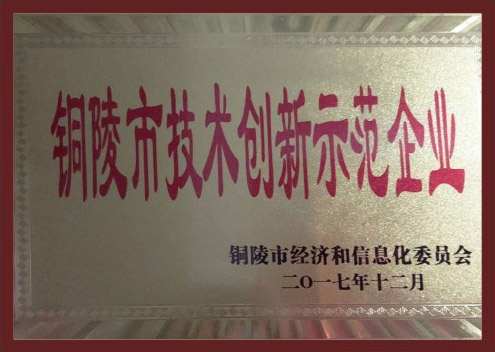 銅陵市技術(shù)創(chuàng)新示范企業(yè)